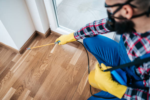 Best Pest Prevention Services  in USA